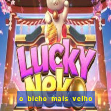o bicho mais velho da loteria dos sonhos