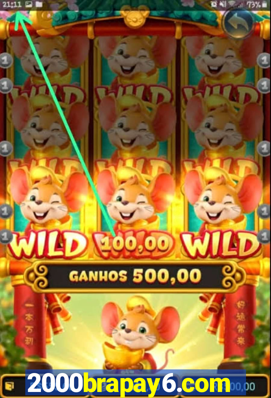 2000brapay6.com