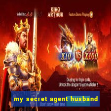 my secret agent husband