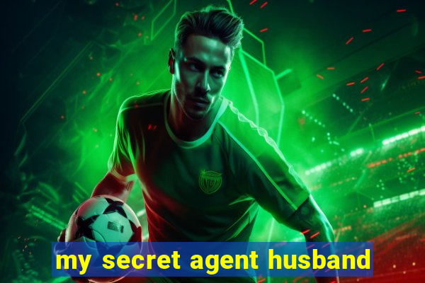my secret agent husband