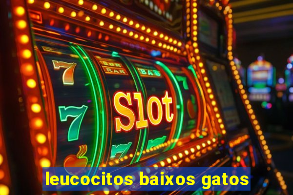 leucocitos baixos gatos