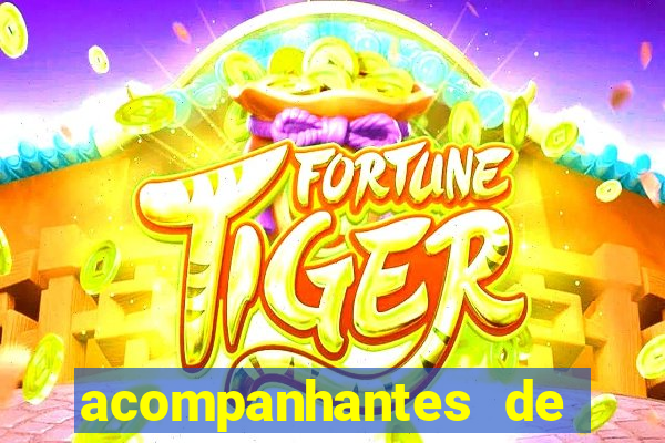 acompanhantes de luxo sc