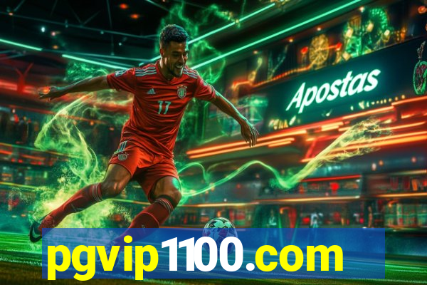 pgvip1100.com