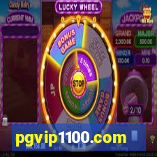 pgvip1100.com