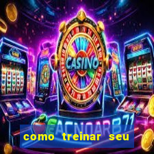 como treinar seu dragão especial de natal assistir