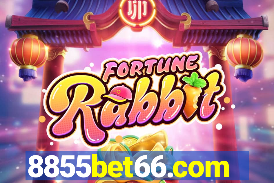 8855bet66.com