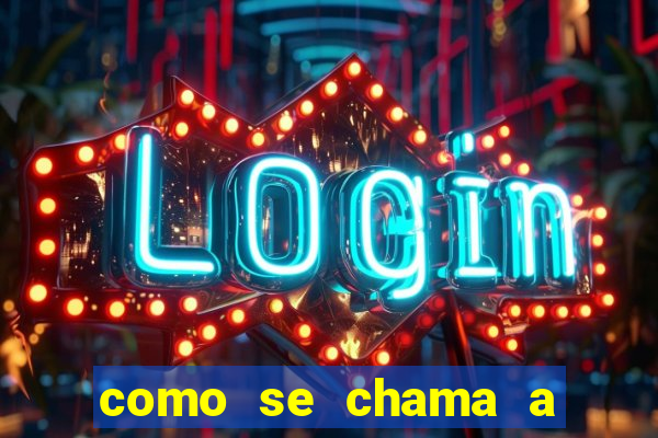 como se chama a empresa que distribui as cartas no brasil