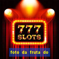 foto da fruta do blox fruits