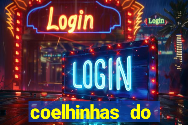 coelhinhas do brasil recife