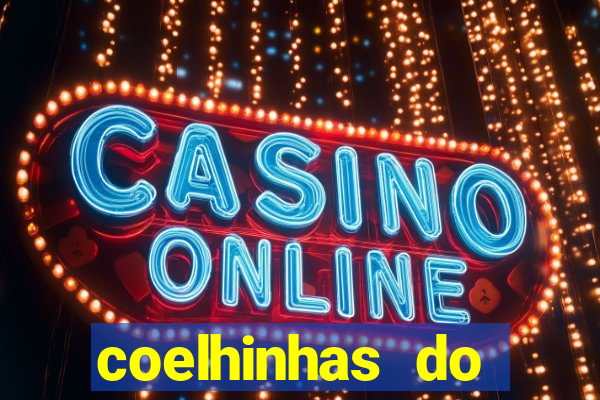 coelhinhas do brasil recife