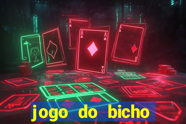 jogo do bicho crash bingo