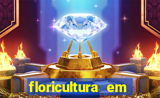 floricultura em lauro de freitas