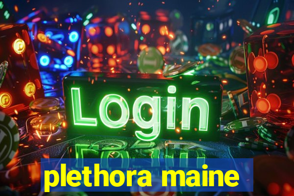 plethora maine