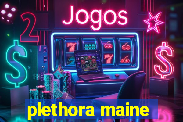 plethora maine