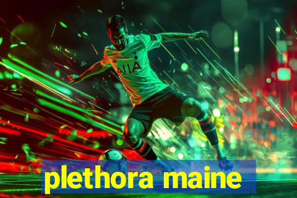 plethora maine
