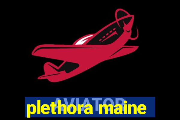 plethora maine