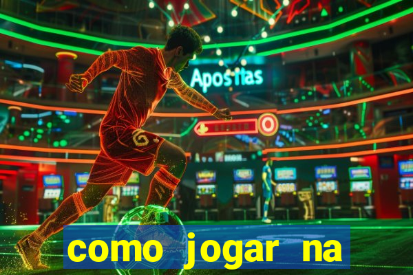 como jogar na seninha online