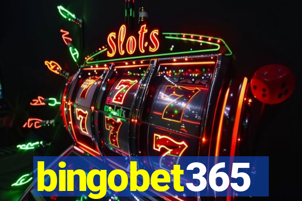 bingobet365