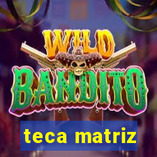 teca matriz