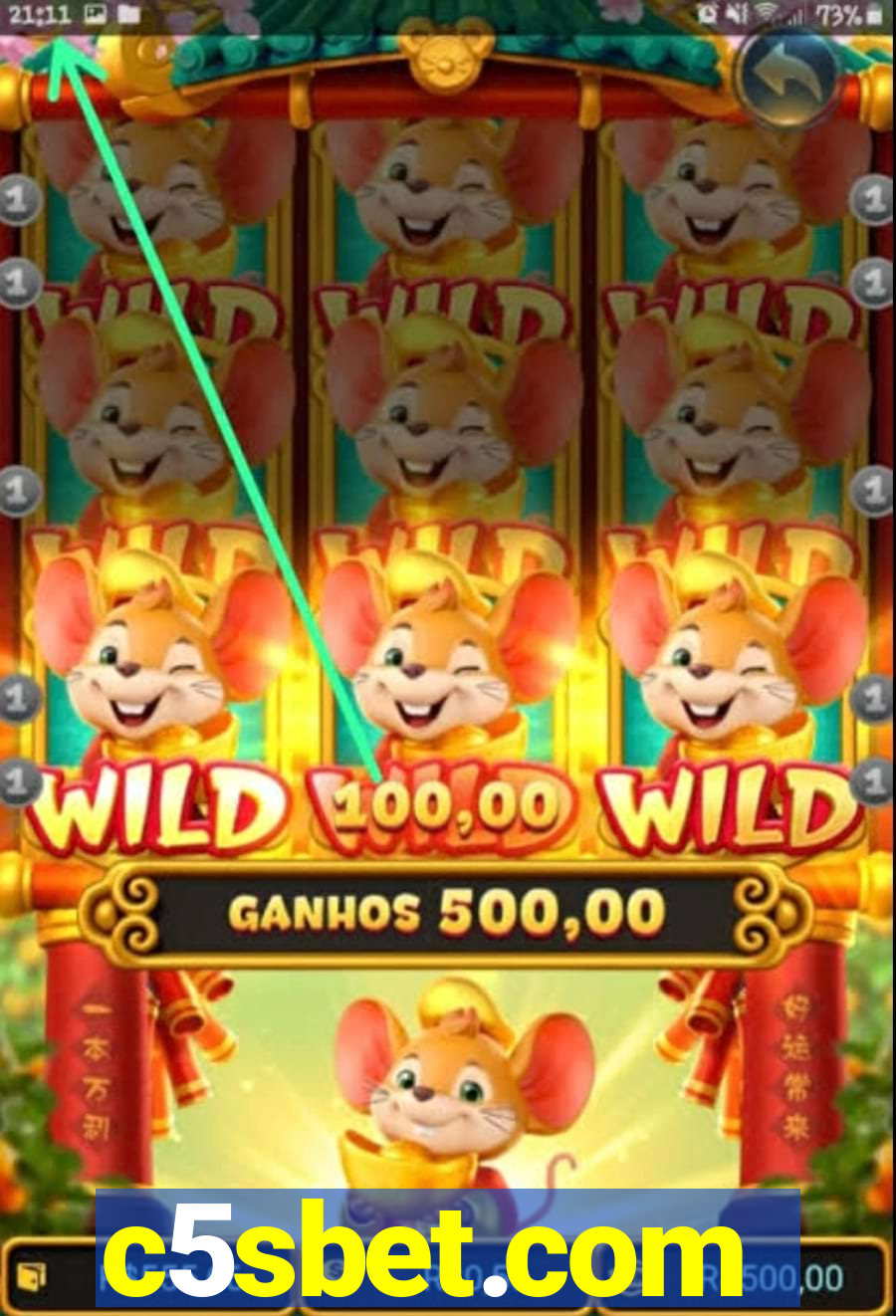 c5sbet.com