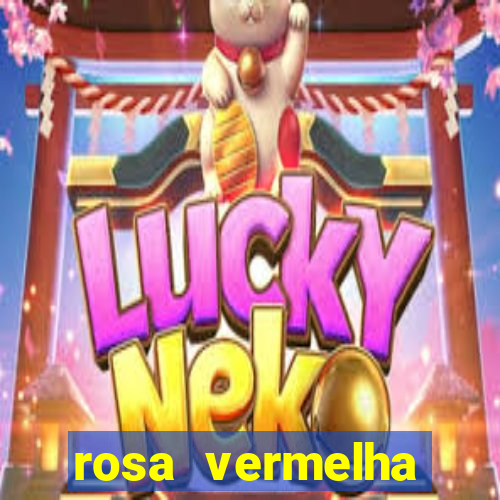 rosa vermelha (letra e cifra)