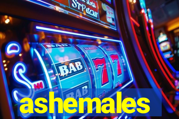 ashemales