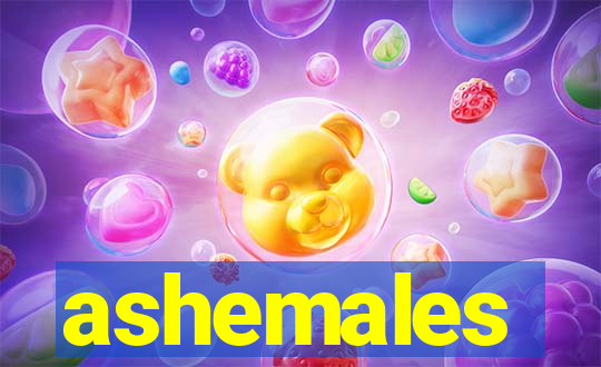 ashemales