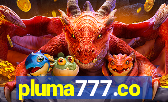 pluma777.co