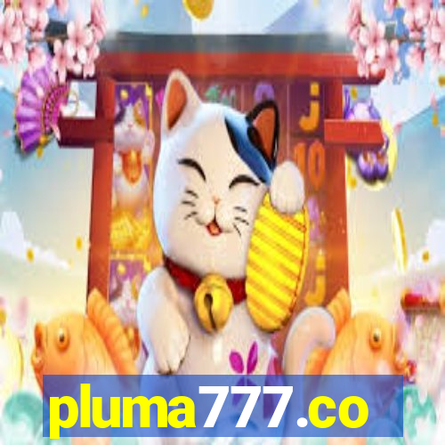 pluma777.co