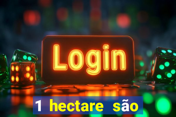 1 hectare são quantas tarefas na bahia