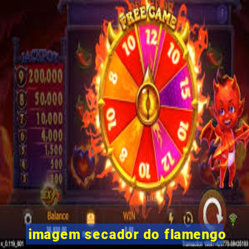 imagem secador do flamengo