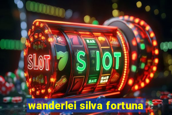 wanderlei silva fortuna