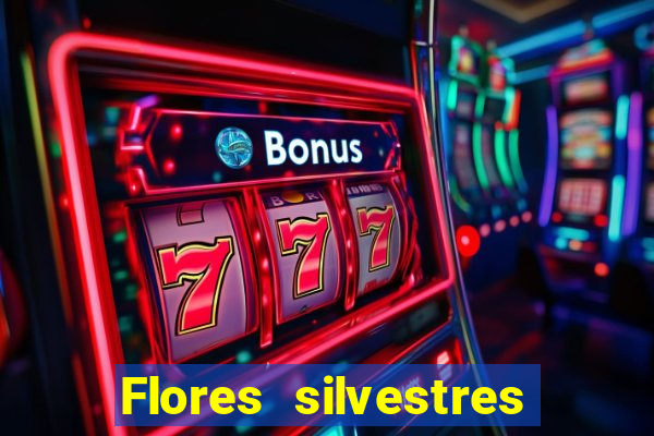Flores silvestres brasileiras 25