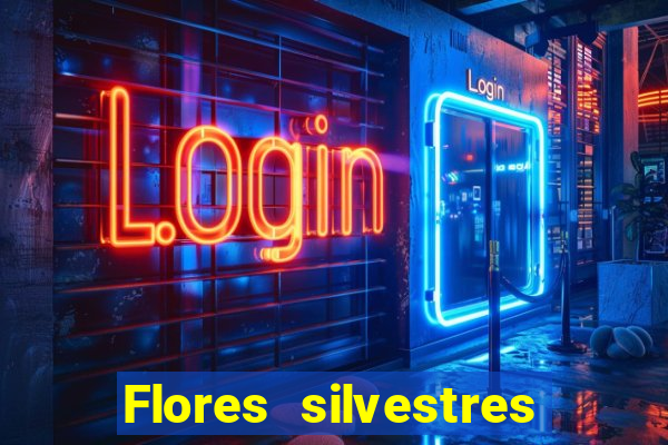 Flores silvestres brasileiras 25