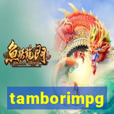 tamborimpg