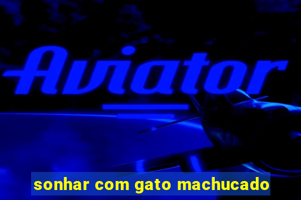 sonhar com gato machucado