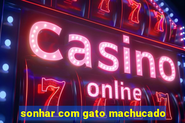 sonhar com gato machucado