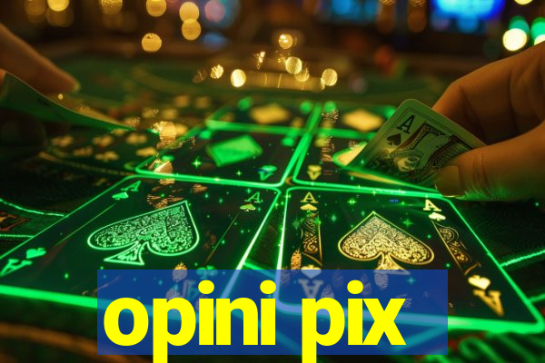 opini pix