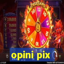 opini pix