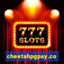 cheetahpgpay.com