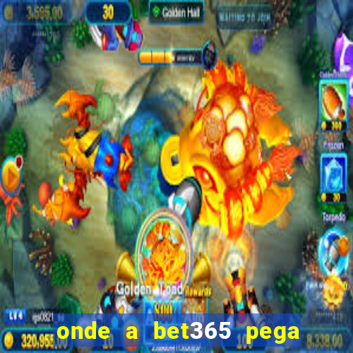 onde a bet365 pega as estatisticas