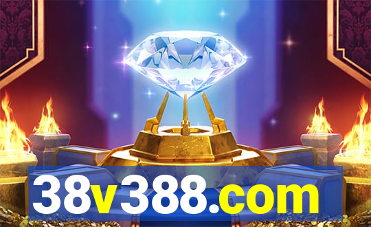 38v388.com