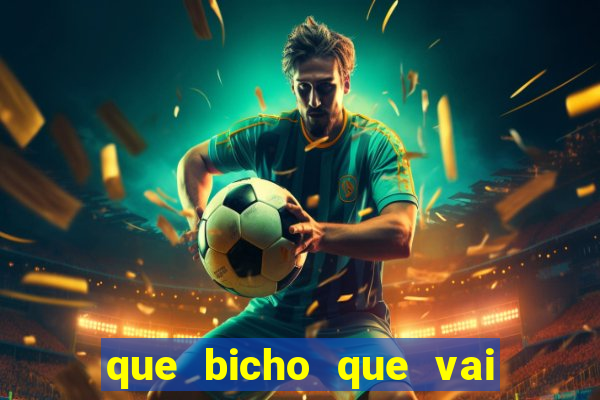que bicho que vai dar hoje