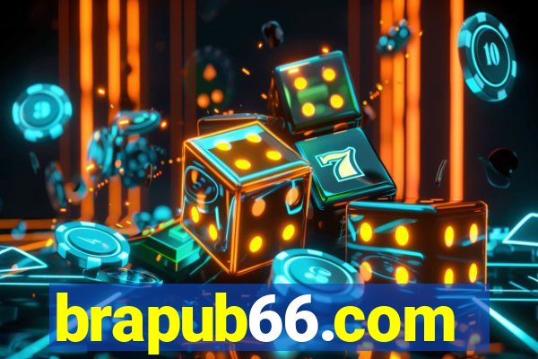 brapub66.com