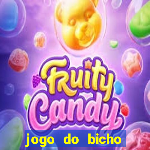 jogo do bicho feira de santana