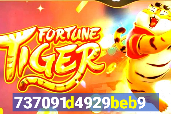 plataforma bet917.com