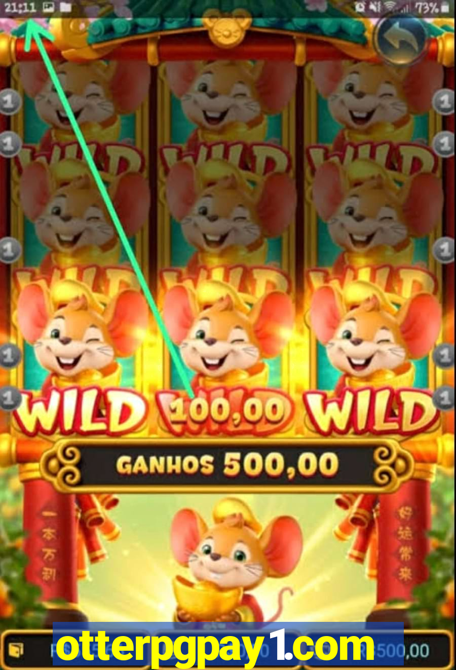 otterpgpay1.com