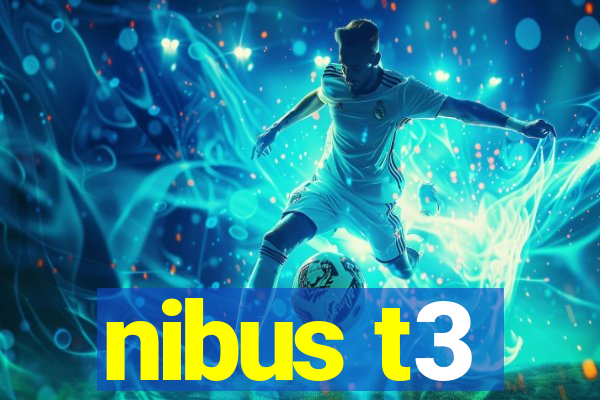nibus t3
