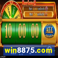win8875.com
