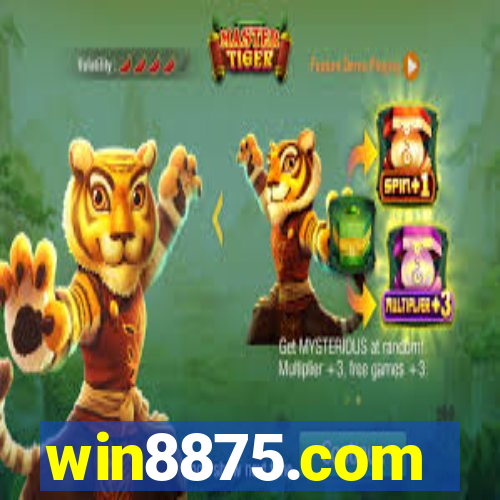 win8875.com